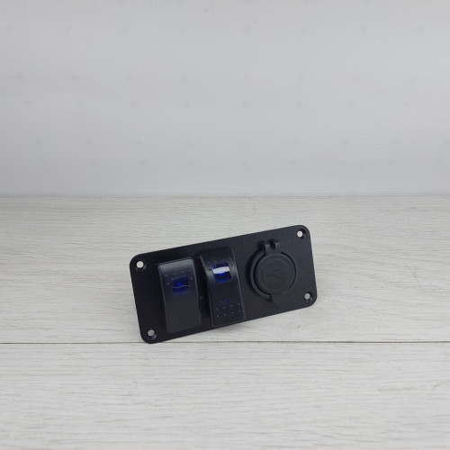 Панель с двумя переключателями и USB-зарядкой