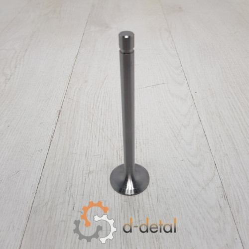 Клапан выпускной МТЗ, ЮМЗ-6 (пр-во Беларусь)