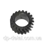Шестерня коленвала МТЗ, Д-240 малая