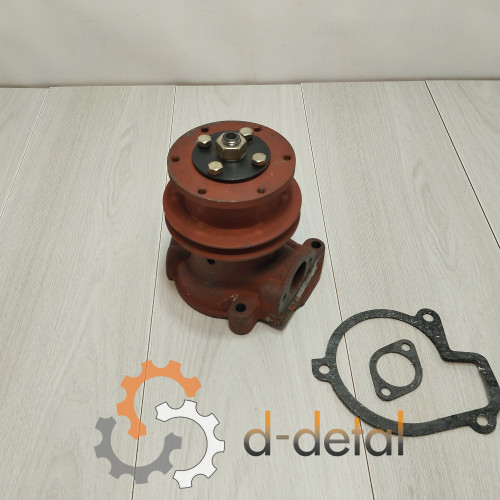 Насос водяной МТЗ, Д240 ( Оригинал Беларусь)